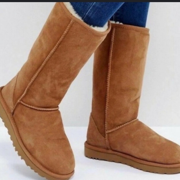 UGG Shoes - Uggs classic tall boots